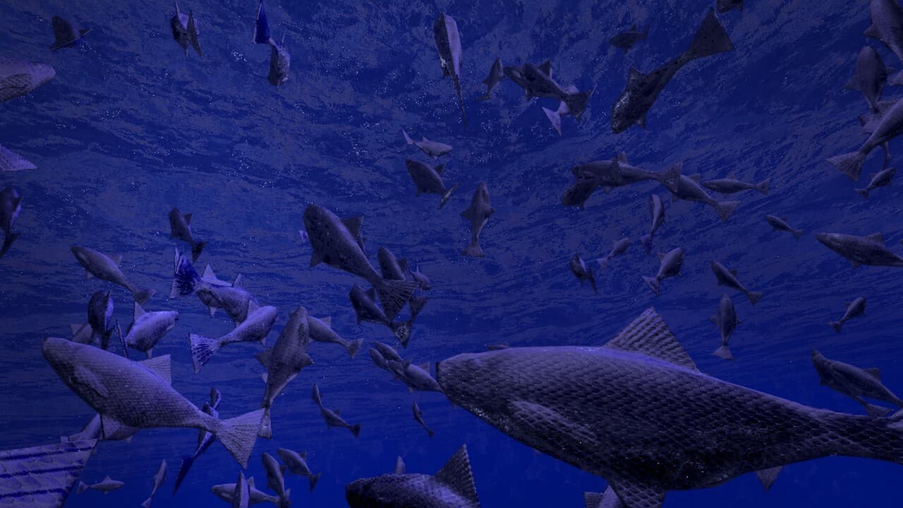 Be a Fish - VR Simulator screenshot 3
