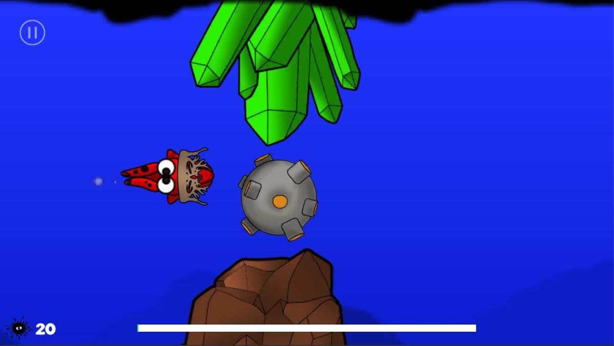 Squid Test