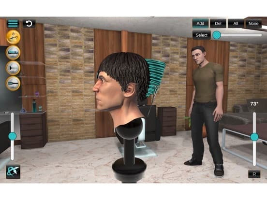 Digital Hair Simulator