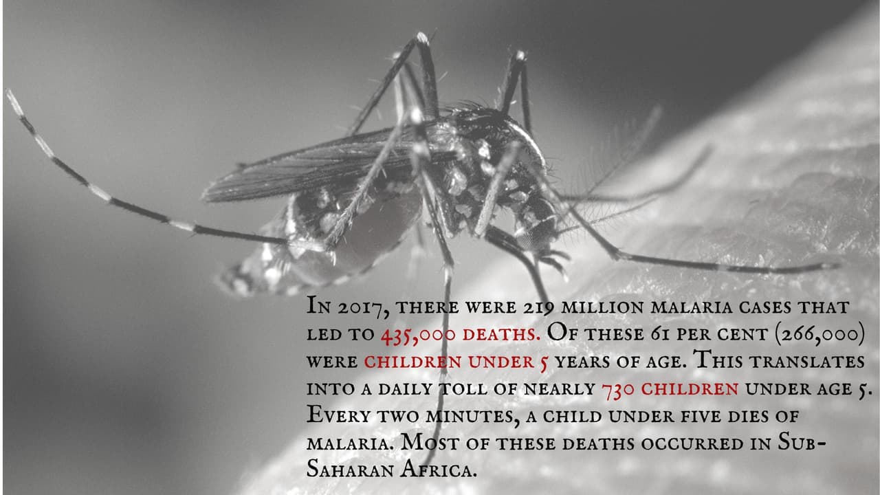 Shame Of Humanity