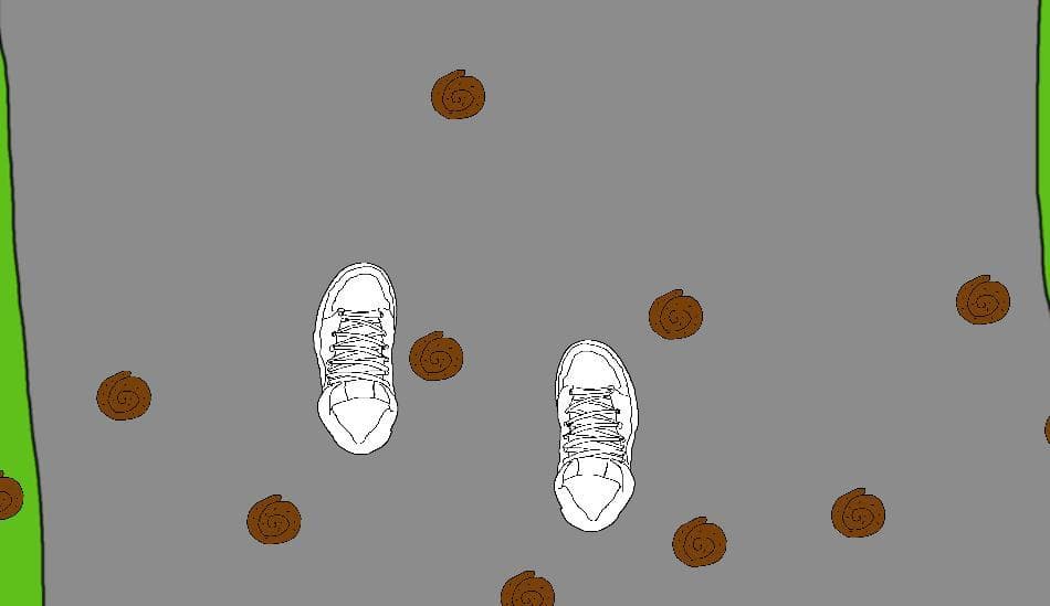Keep your shoes clean