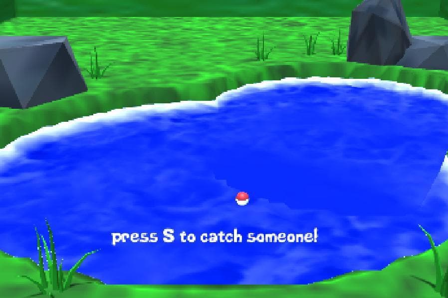 catch! (hackerlizard)