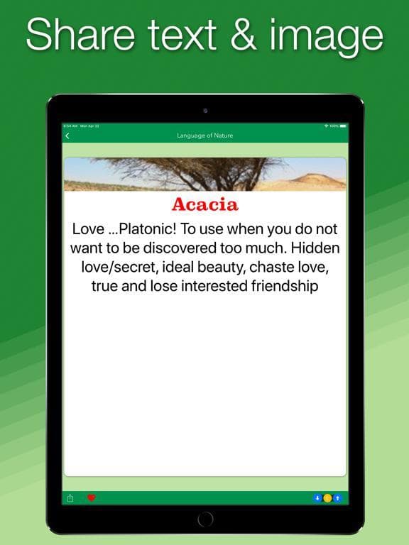 Language of Nature screenshot 6