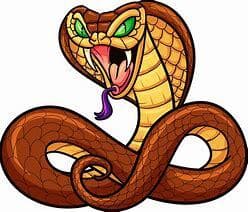 snake combo