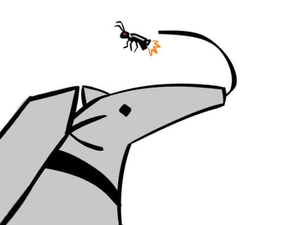 Garden Chair Eats Space Ants