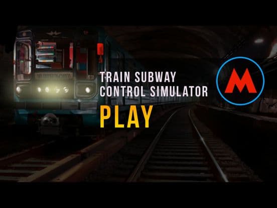 Train Subway 3D Driving Sim screenshot 3
