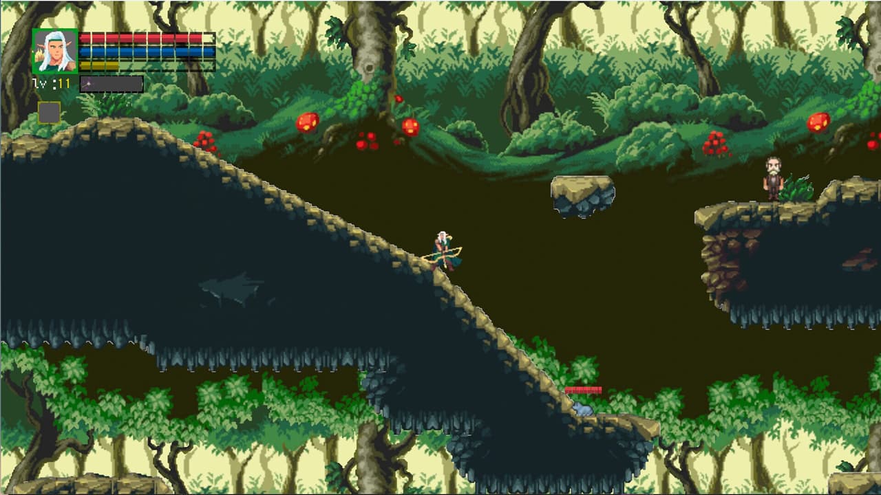 丛林游侠（Jungle Ranger）
