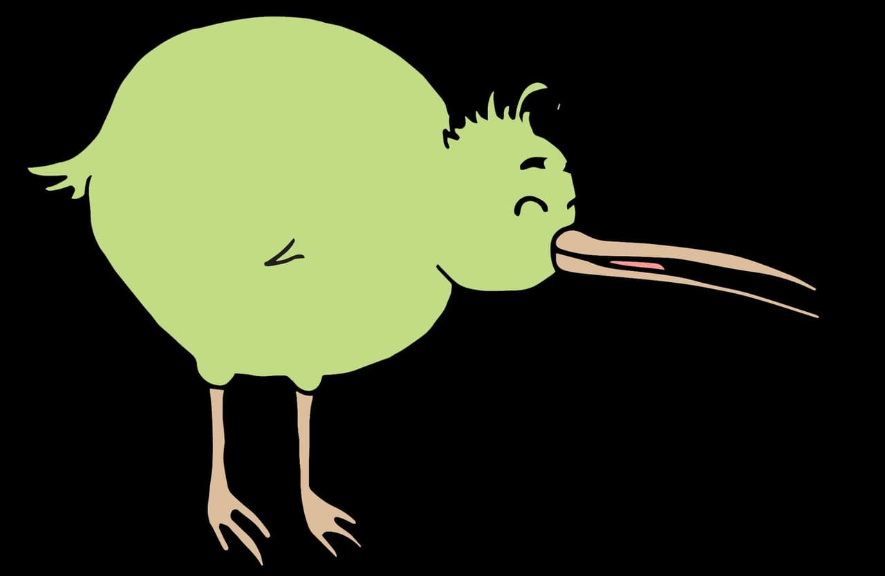 Kiwi Chaos