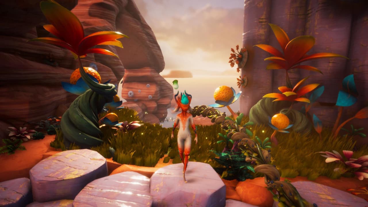 Blossom 2019 screenshot 3