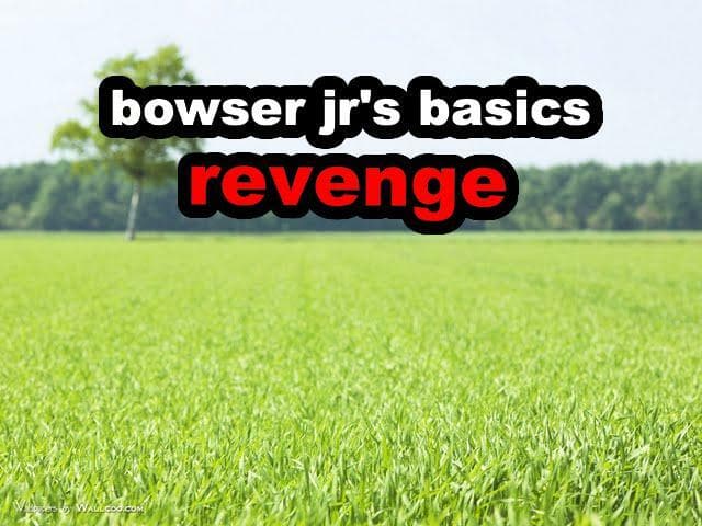 bowser jrs basics: revenge