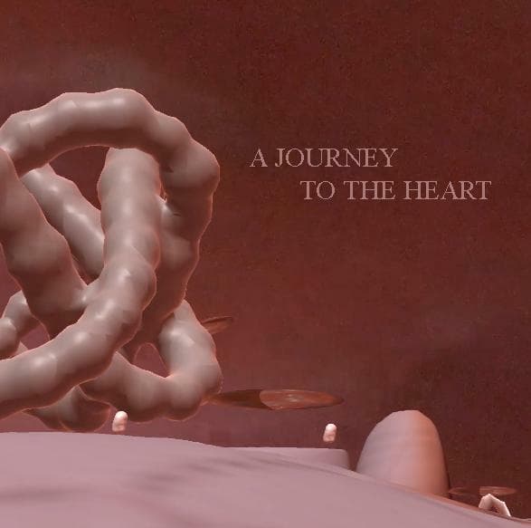 A Journey To The Heart