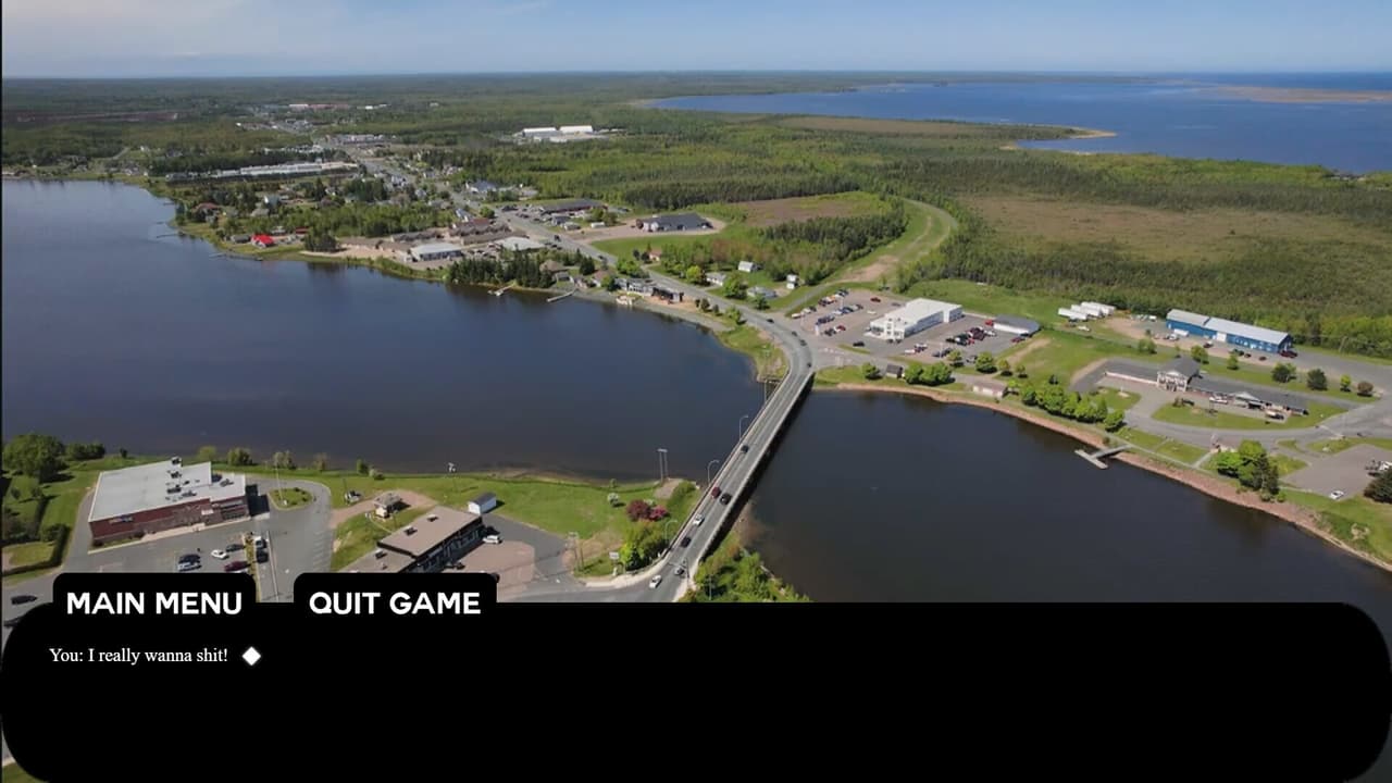 Tracadie Bird Shit screenshot 3