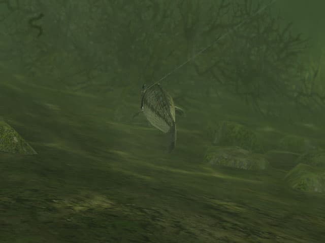 Rapala Pro Fishing screenshot 3