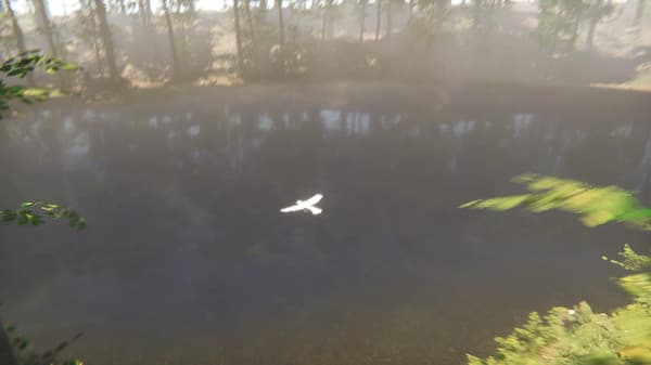 Bird screenshot 5
