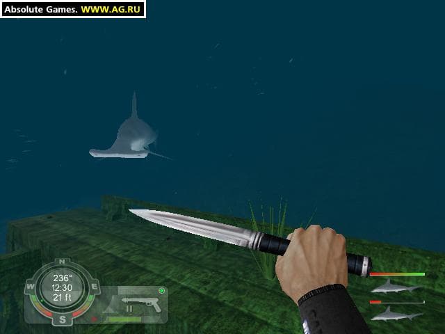 Shark! Hunting the Great White