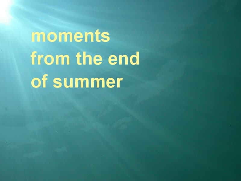 Moments from the End of Summer (tiny prototype ver.)