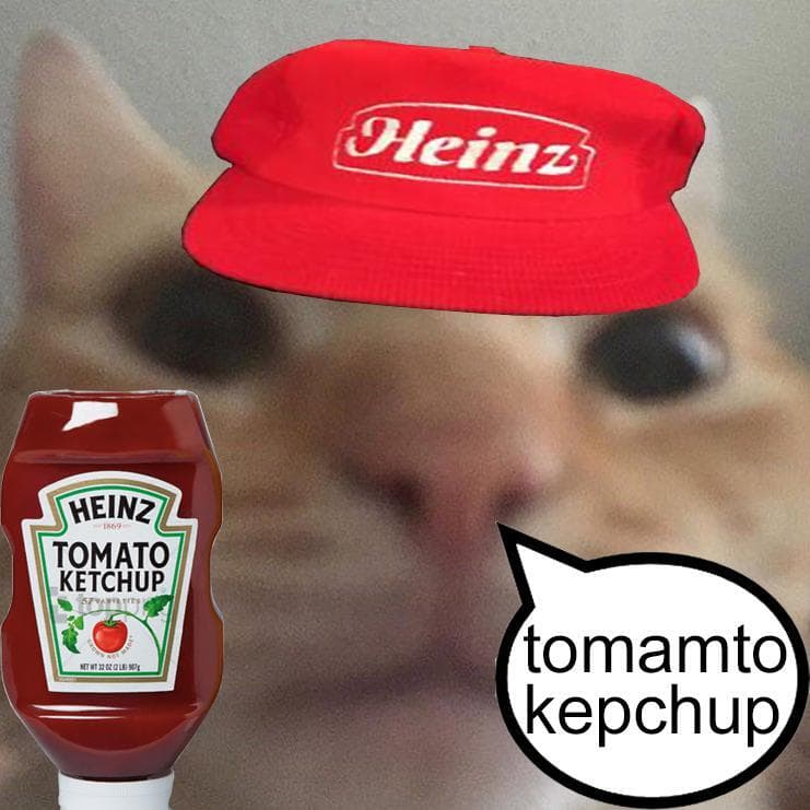 cats with snacks and a car