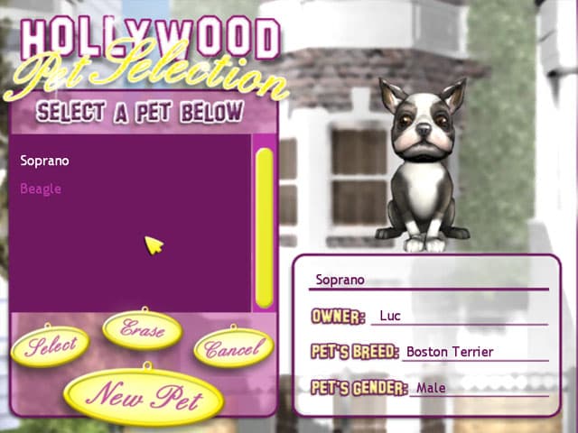 Hollywood Pets screenshot 2