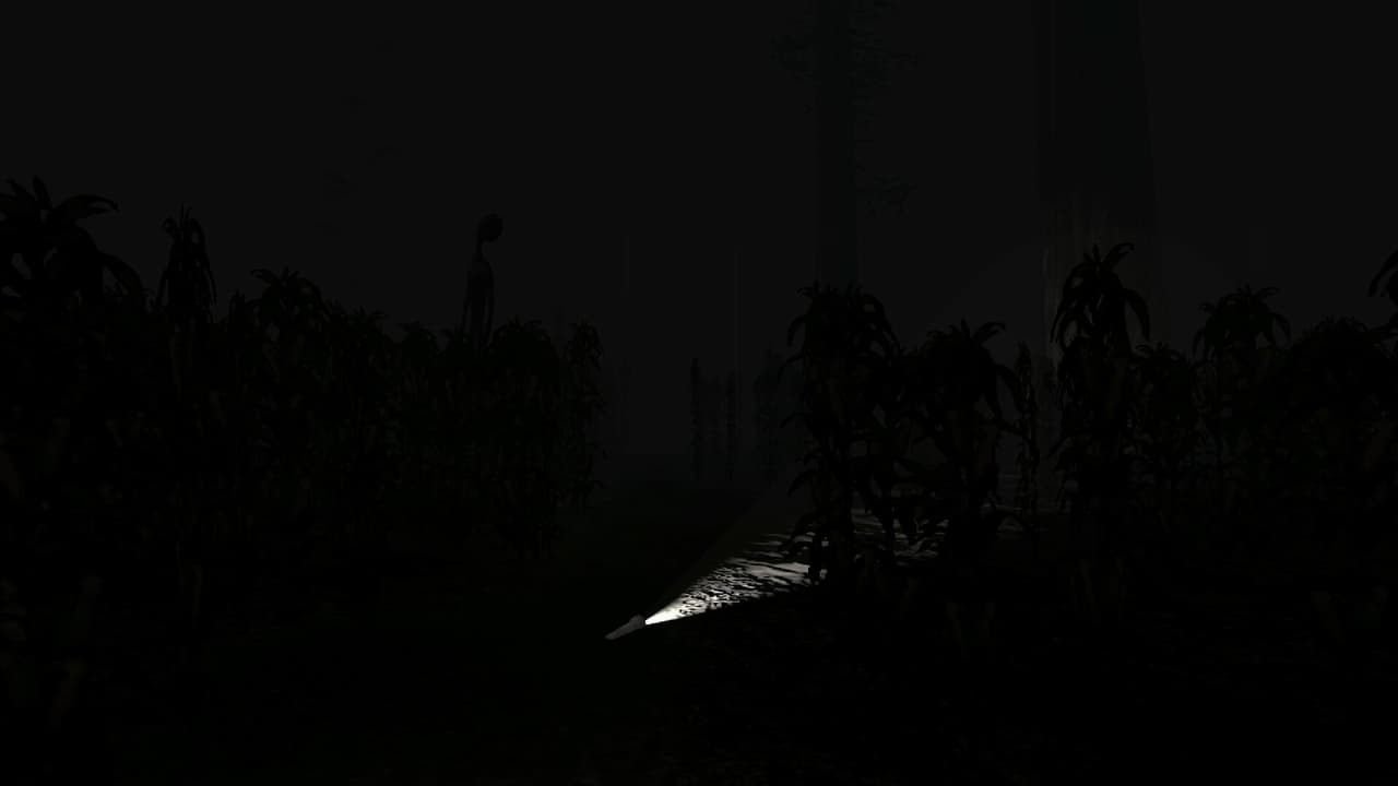 Dark Harvest