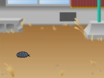 Pill bug simulator