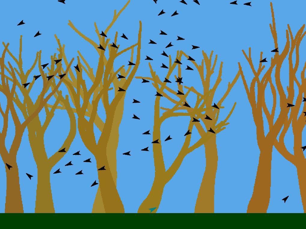 For The Birds