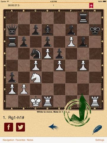 Mate in 1? OK! screenshot 2