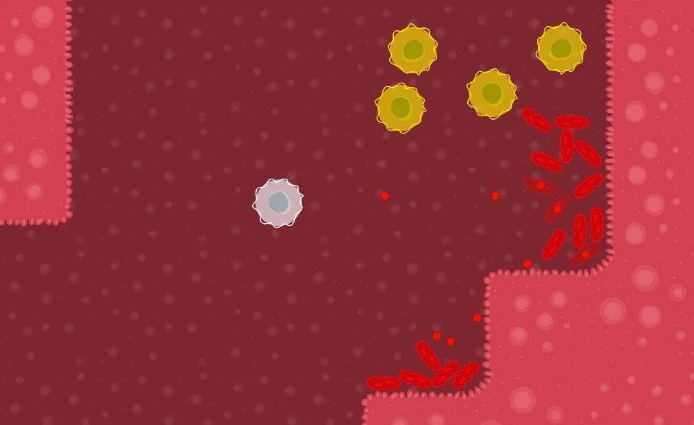 Globulator
