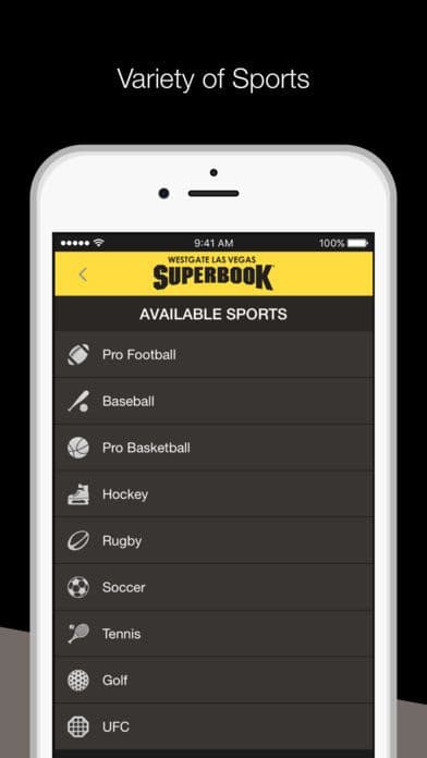 SuperBook screenshot 3