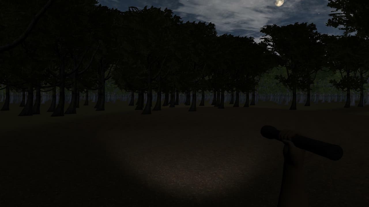 Forest Walking Simulator 2021