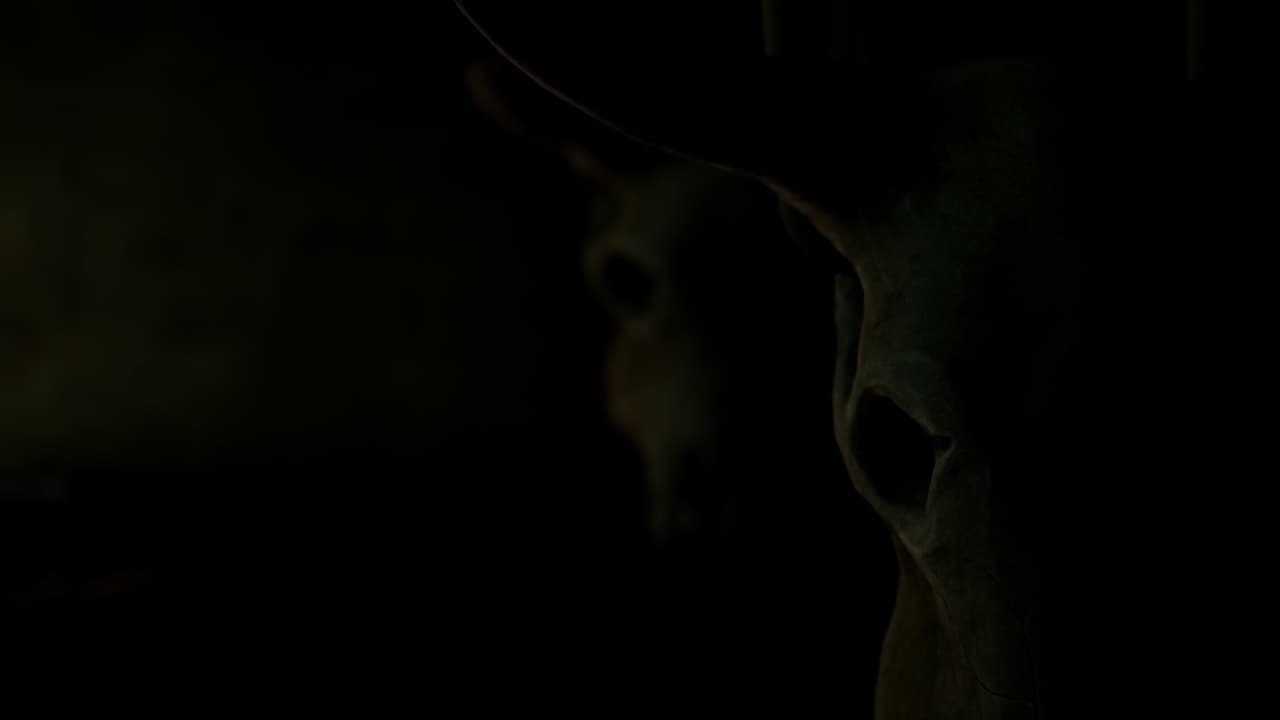 Shadow Plays screenshot 3