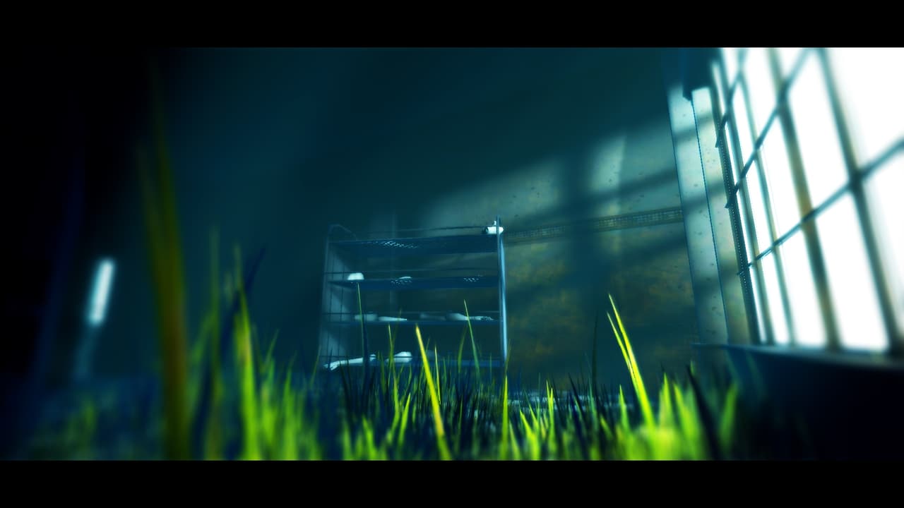 Acanthoceras screenshot 3