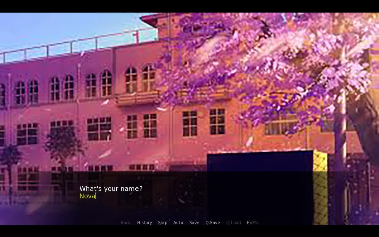 Koko Rabusutori Demo Version screenshot 2