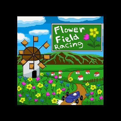Flower Field Racing