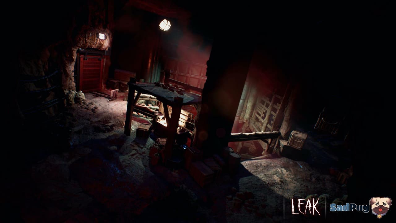 Leak screenshot 3