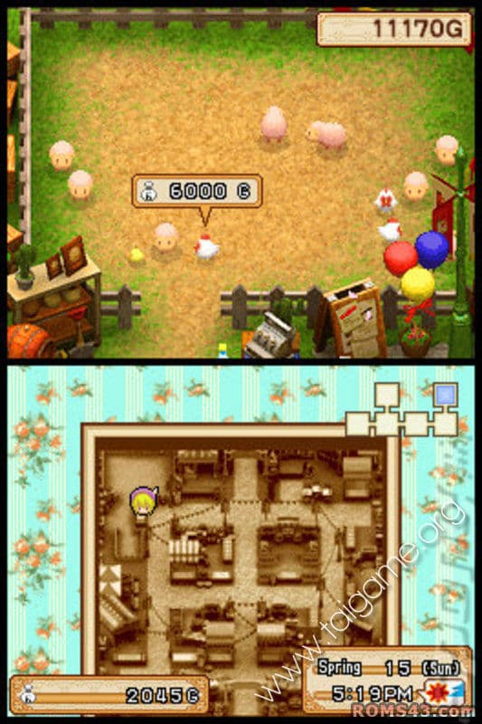 Harvest Moon DS: Grand Bazaar screenshot 4