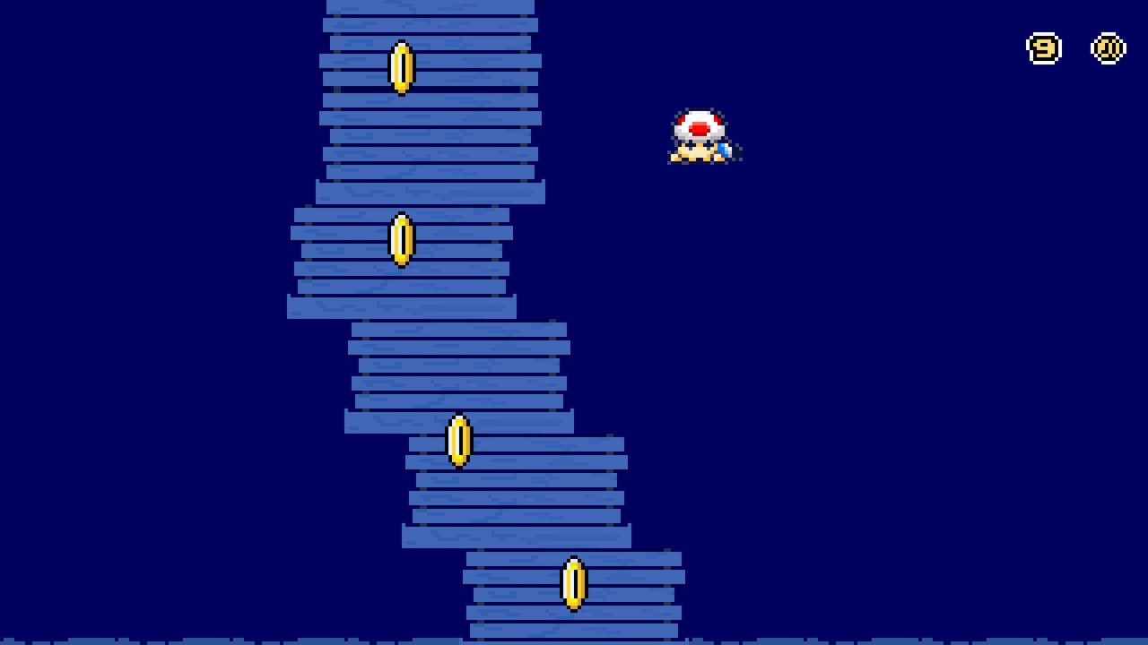 Toads Midnight race