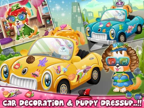 Little Puppy Car Spa