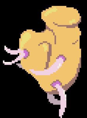 TurnipOn