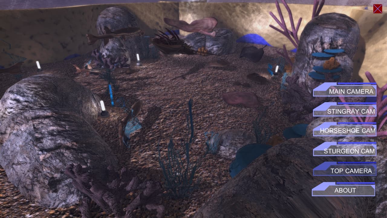 Virtual Aquarium (Discovery World Touch Tank) screenshot 2