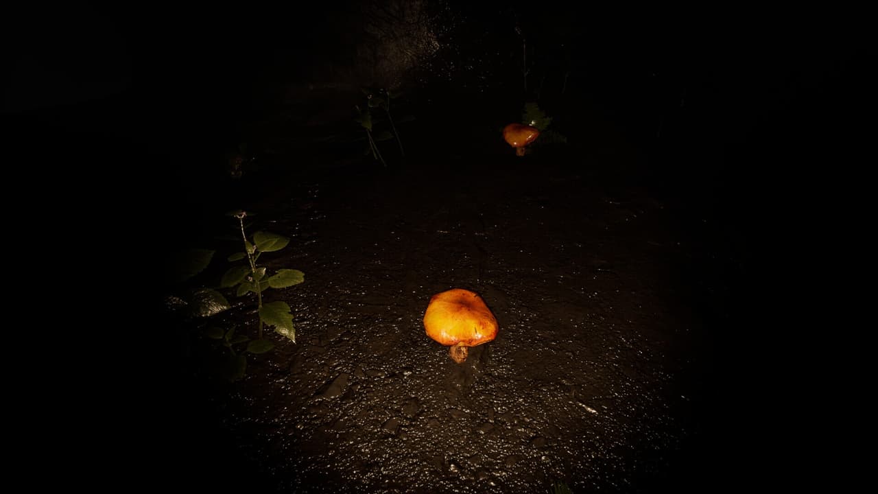 Cave Of Horrors screenshot 4