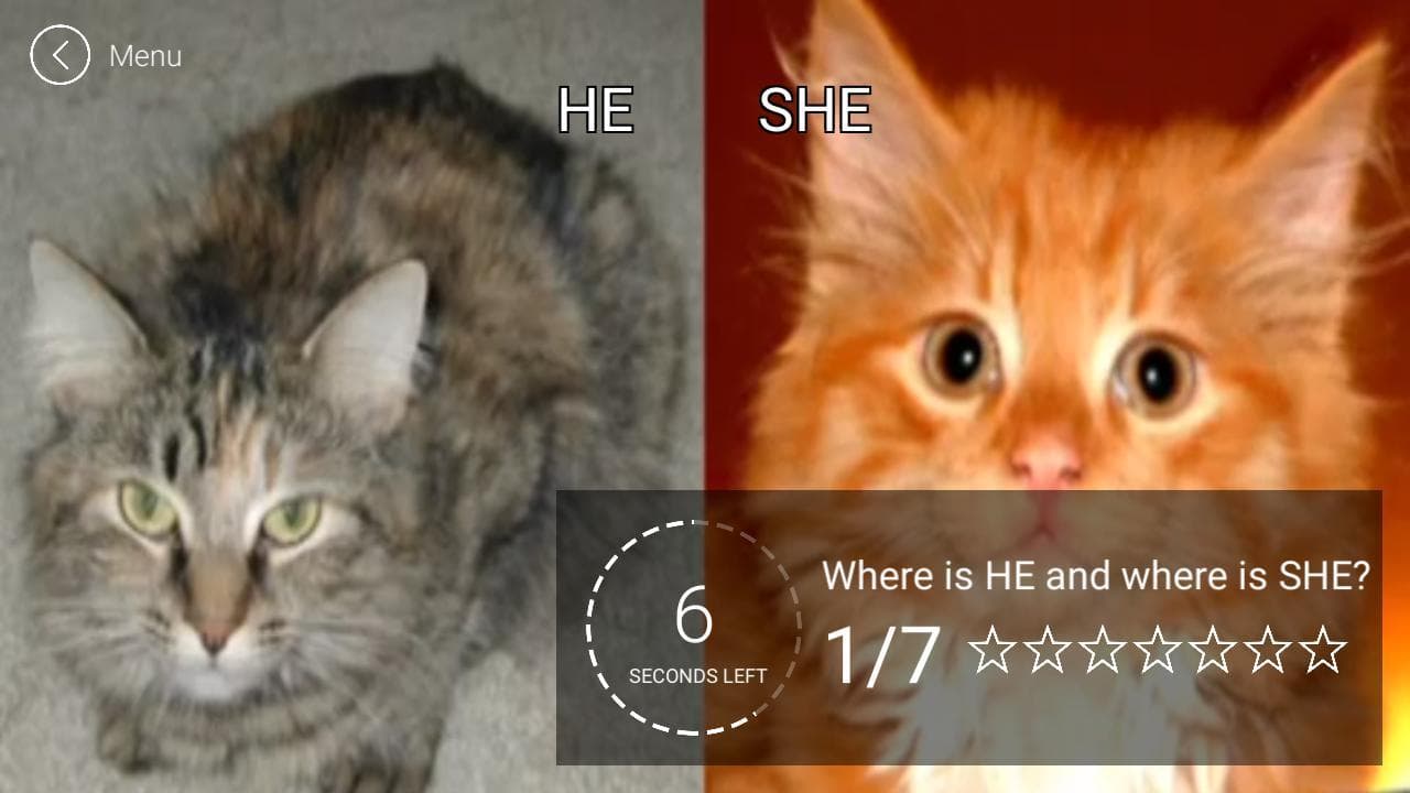He or She? Animals screenshot 2
