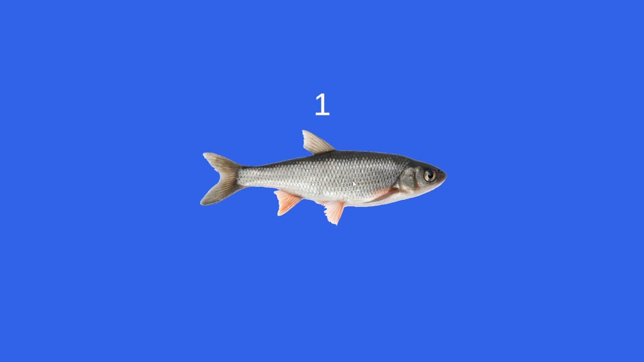 Fish screenshot 3