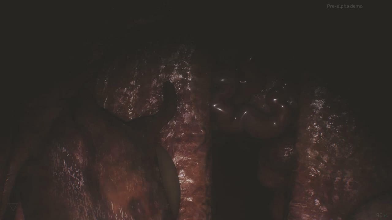 RE77 v.09 (Reupload)