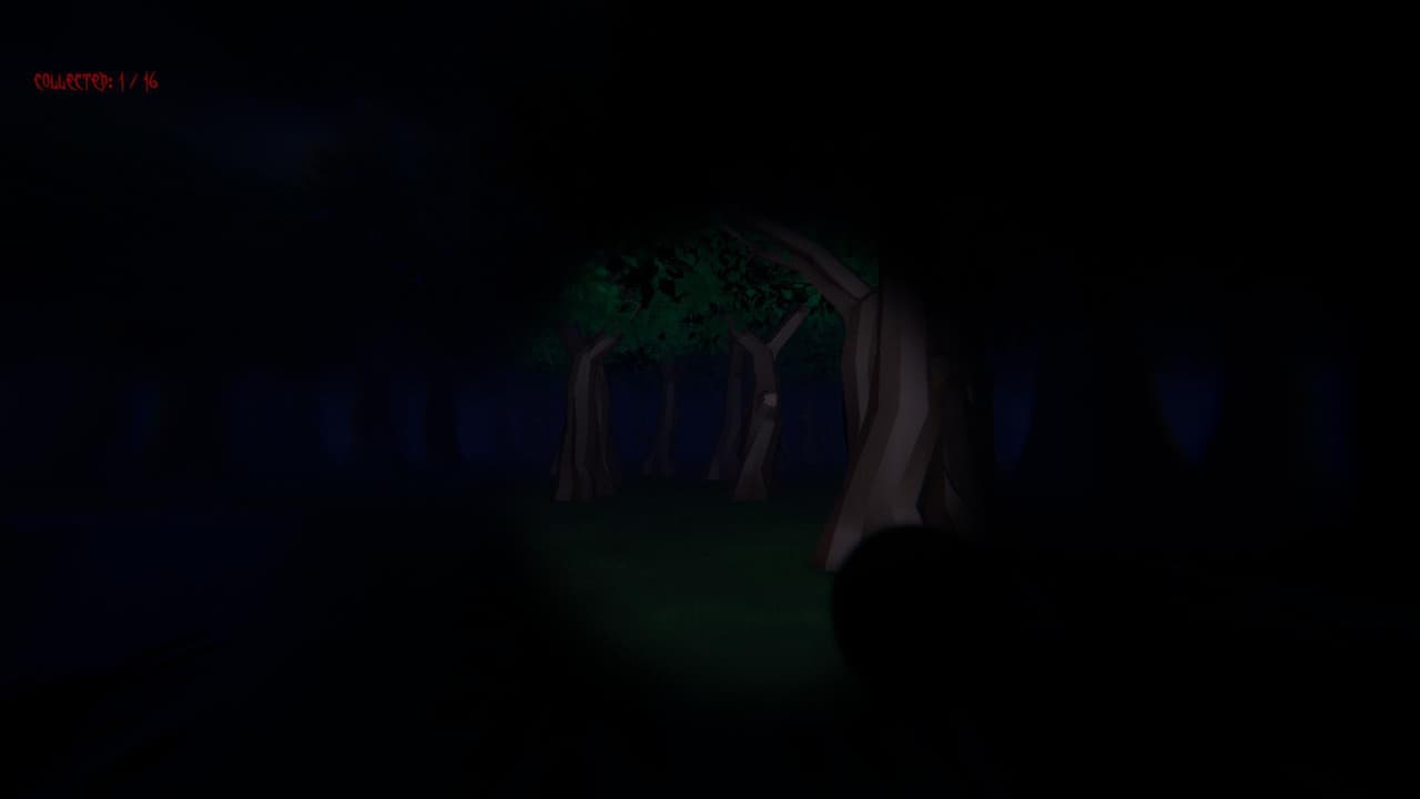 Forest Of The Shadows