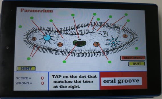 Label that Diagram - Cells screenshot 5