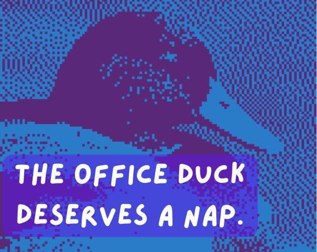 the office duck deserves a NAP
