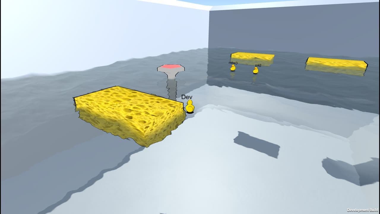 Server Ducks