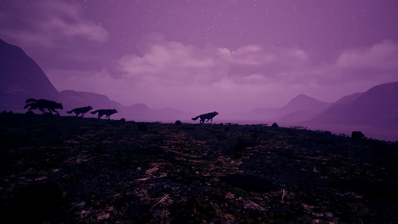 RITUAL OF THE WOLF