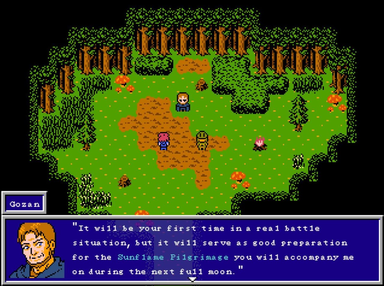 Mystic Chronicles: Dawn screenshot 3