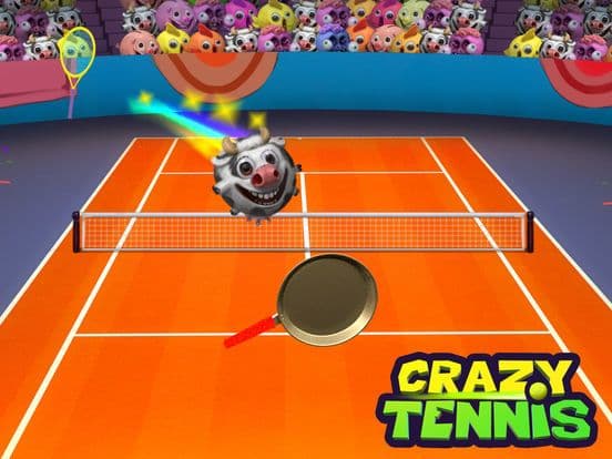 The Crazy Tennis screenshot 2
